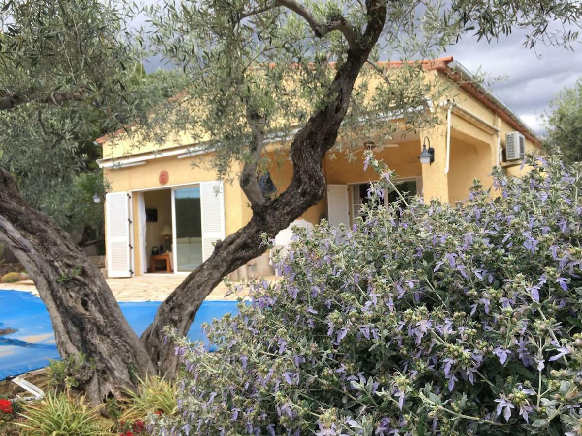 La Inopia Villa L'Ampolla Ngoại thất bức ảnh
